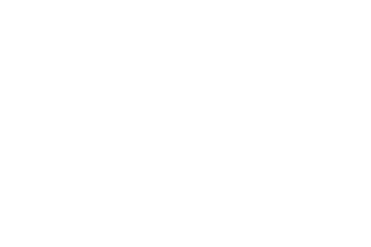 Netresearch Logo Portrait negativ: groß