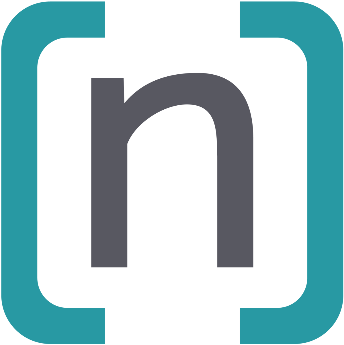 Netresearch Symbol Logo: groß