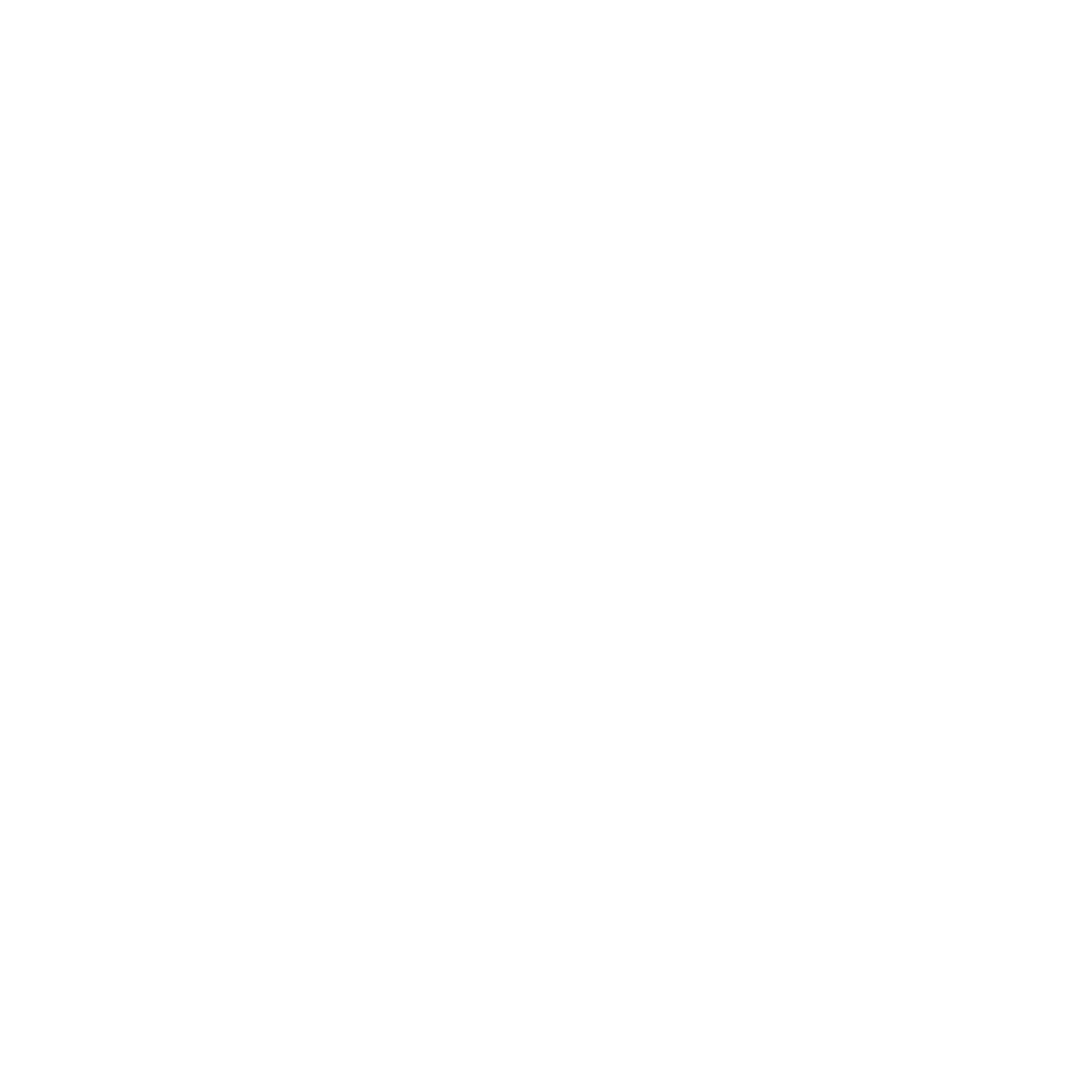 Netresearch Symbol Logo negativ: groß