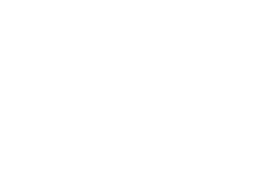Netresearch Logo negativ: klein