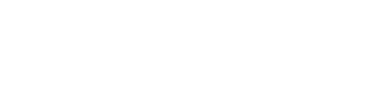 Netresearch Logo negativ: groß