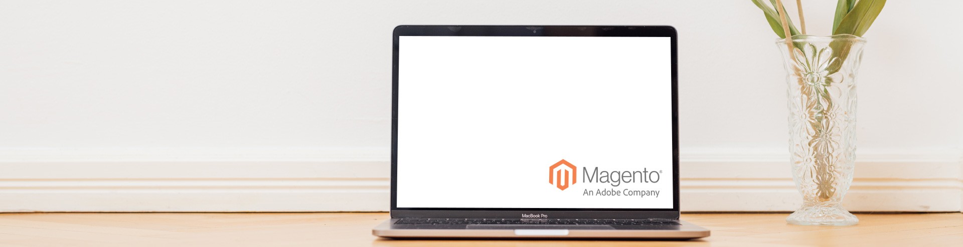 Magento Agentur Netresearch Header