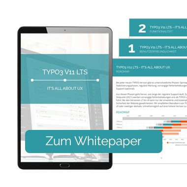 Whitepaper TYPO3 v11: kostenlos & kompakt