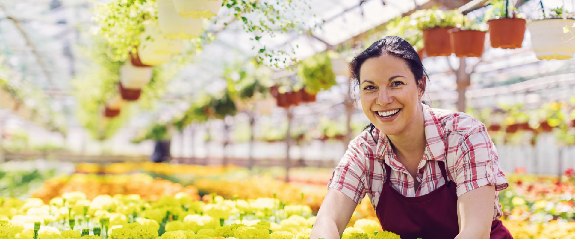 Case Study Netresearch: B2B/B2C Onlineshop für Hermann Meyer KG